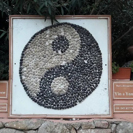 Yin & Yang 3*